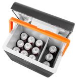 Car Cooler Strend Pro, 2in1, 30 lit, 230V/12V, PU insulation