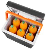 Car Fridge Strend Pro, 2v1, 30 lit, 230V/12V, POLYSTYREN insulation