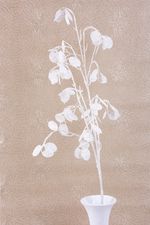 Branch MagicHome Christmas, MoneyPlant.White, white, 56x107 cm