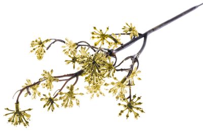 Ág MagicHome Karácsony, Sedum.Gold, arany, 14x30 cm