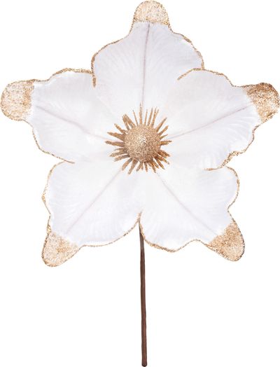 Christmas Flower MagicHome, white, 21x15 cm