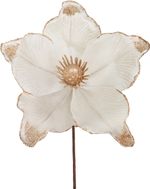Christmas Flower MagicHome, cream, 21x15 cm