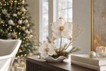 Christmas Flower MagicHome, cream, 21x15 cm