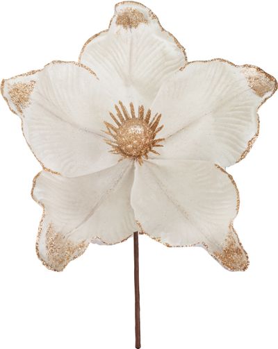 Christmas Flower MagicHome, cream, 21x15 cm
