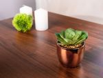 Succulent MagicHome S34042, 15 cm, cement pot, gold, artificial