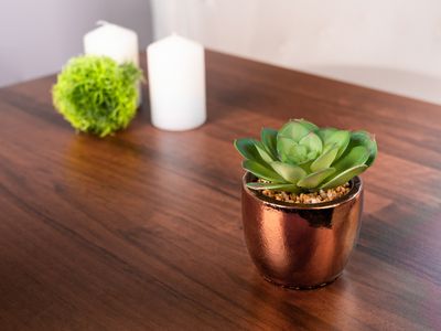 Succulent MagicHome, 10 cm, pot -cement, gold