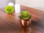 Succulent MagicHome S34040, 12 cm, cement pot, gold, artificial