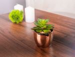 Succulent MagicHome S34040, 12 cm, cement pot, gold, artificial