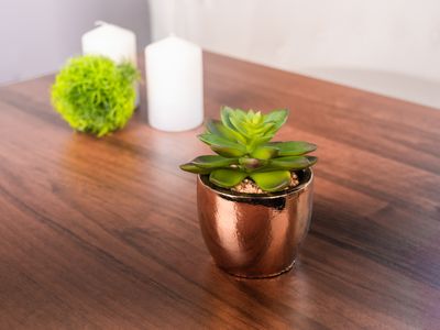 Szukkulens MagicHome S34040, 12 cm, virágcserép - cement, arany