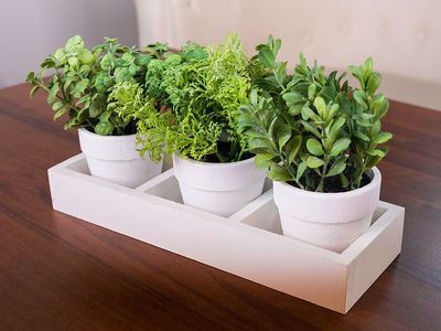 Szukkulens mix MagicHome, 18 cm, papír virágcserép, 3 db, mű