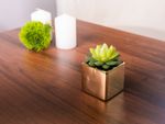 Succulent MagicHome SA3905, 15 cm, ceramic pot, gold, artificial