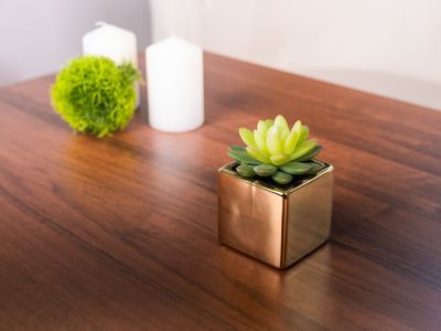 Sukulent MagicHome SA3905, 15 cm, črepník- keramika, zlatý, umelý