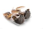 Decorative Birds with Clip MagicHome, brown, pair, 15x5x5 cm