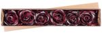 Flower MagicHome, rose, burgundy, stem, flower size: 10 cm, flower length: 18 cm, pack of 6 pcs