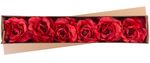 Kvet MagicHome, pivónia, červená, stonka, veľkosť kvetu: 16 cm, dĺžka kvetu: 24 cm, bal. 6 ks
