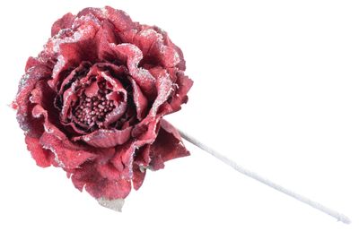 Kvet MagicHome, pivónia, červená, stonka, veľkosť kvetu: 11 cm, dĺžka kvetu: 21 cm, bal. 6 ks