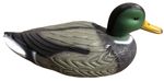 Decoration Strend Pro, Wild Duck, male, plastic, 36x15x15 cm