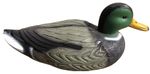 Decoration Strend Pro, Wild Duck, male, plastic, 36x15x15 cm