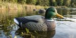 Decoration Strend Pro, Wild Duck, male, plastic, 36x15x15 cm
