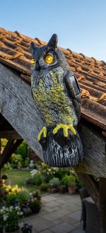 Bird Repeller Owl, solar, glowing eyes, 41 cm, sound