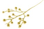 Branch MagicHome Christmas, GliBerries, gold, 28 cm