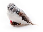 Decorative Bird MagicHome Christmas, 15x10x12.5 cm, white - grey, feathered