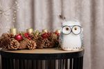Owl MagicHome, 13x16x15 cm, white, fluffy