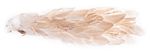 Decoration MagicHome Christmas, Peacock, gold, feathered, 34x12x15 cm