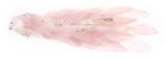 Peacock MagicHome, pink, 33x12x15 cm, down