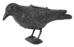 Bird Repeller Black Raven, solar, sound