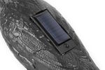 Plasic bird Black raven, solar