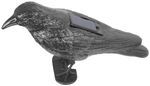 Bird Repeller Black Raven, solar, sound
