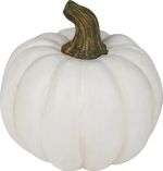 Decoration MagicHome Nature, Pumpkin, white, terracotta, 7.5x7.5x10 cm