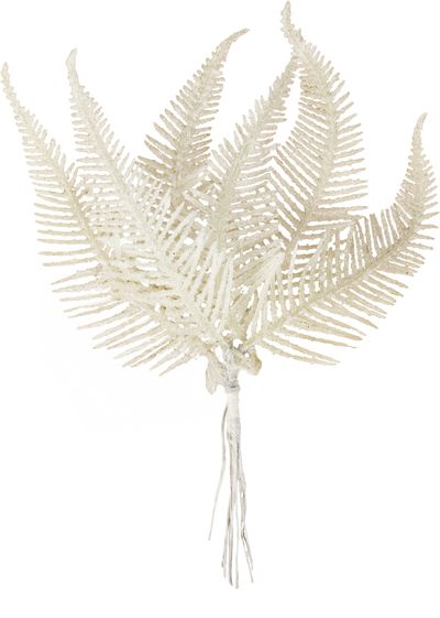 Ág MagicHome Karácsony, páfrány, fehér, 19 cm