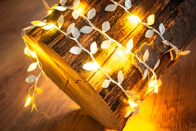 Christmas Light MagicHome Christmas Leafdeco CW, 20 mLED warm white, 2xAA, IP 20, interior, L-1,90 m
