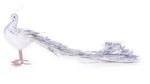 Decoration MagicHome Christmas, Peacock, silver, feathered, 50x20x23 cm