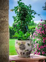 Flowerpot MagicHome, with mosaic, light, ceramic, 27.5x25 cm