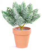 Dísz MagicHome karácsonyi, Ágak cserépben, havas, 20 cm
