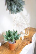 Decoration MagicHome Christmas, Twigs in a pot, snow-covered, 20 cm