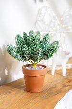Dísz MagicHome karácsonyi, Ágak cserépben, havas, 20 cm