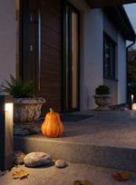 Decoration MagicHome Nature, Pumpkin, orange, terracotta, 7.5x7.5x10 cm