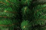 Tree MagicHome Christmas Leo, fir in jute, extra dense, 60 cm