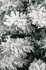 Christmas Tree MagicHome Christmas Snowy, fir in jute bag, snow-flocked, 60 cm