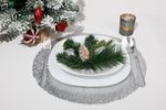 Placemat MagicHome, 38 cm, silver