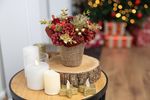 Ikebana MagicHome, Christmas, natural, red, 17x17 cm