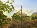 Bird Repeller Strend Pro, owl, reflective, with bell, 39x26 cm, pack of 2 pcs