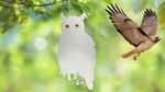 Bird Repeller Strend Pro, owl, reflective, with bell, 41.5x20 cm, pack of 2 pcs