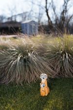 Decoration Strend Pro Garden, Meerkats, solar, 4xLED, 12x11x27.5 cm