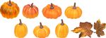 Decoration MagicHome Nature, pumpkins, leaves, in a net, pack. 9pcs