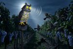 Bird Repeller Strend Pro, owl, solar, USB, rotating head, sound, glowing eyes